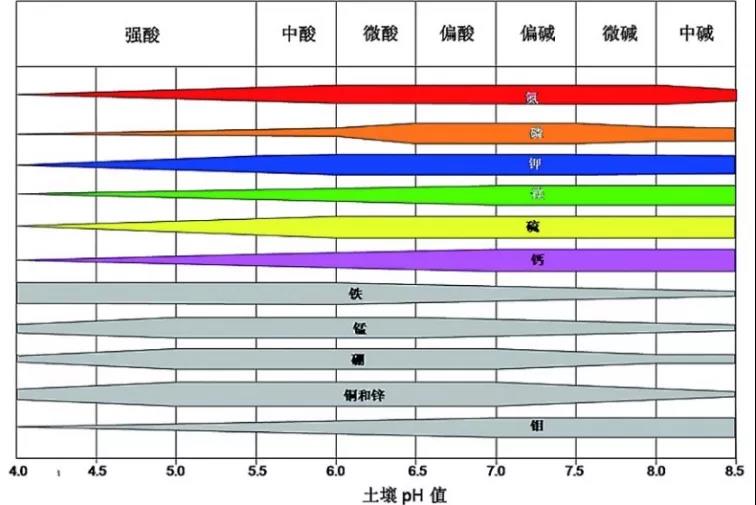 土壤PH速測儀，快速測PH